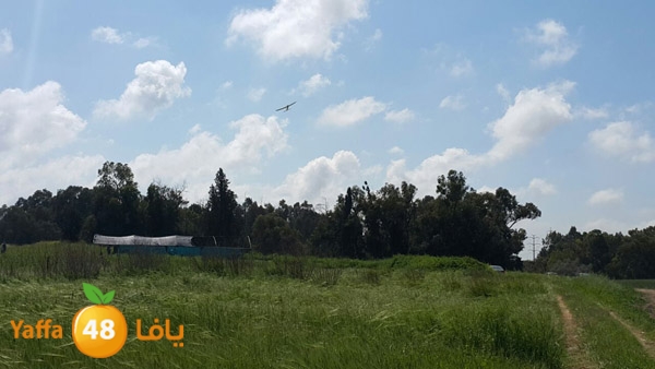 roben tabee3ar (20).JPG